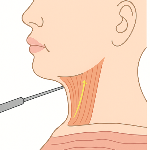 Untitled design (18)