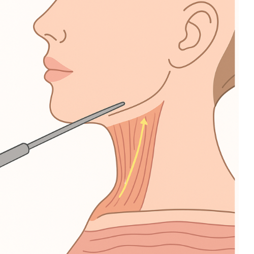 Untitled design (19)